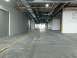Ct Foodnex (D25), Factory #553908721